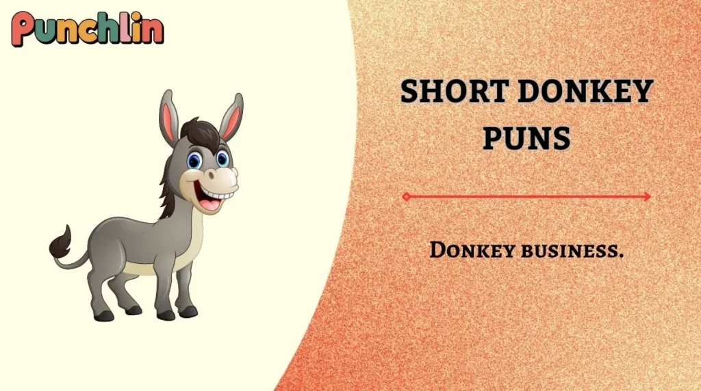 Short Donkey Puns