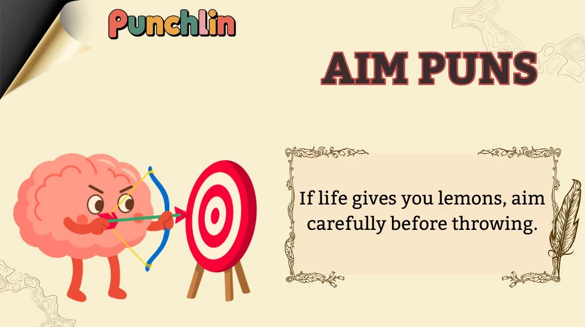 Aim Puns