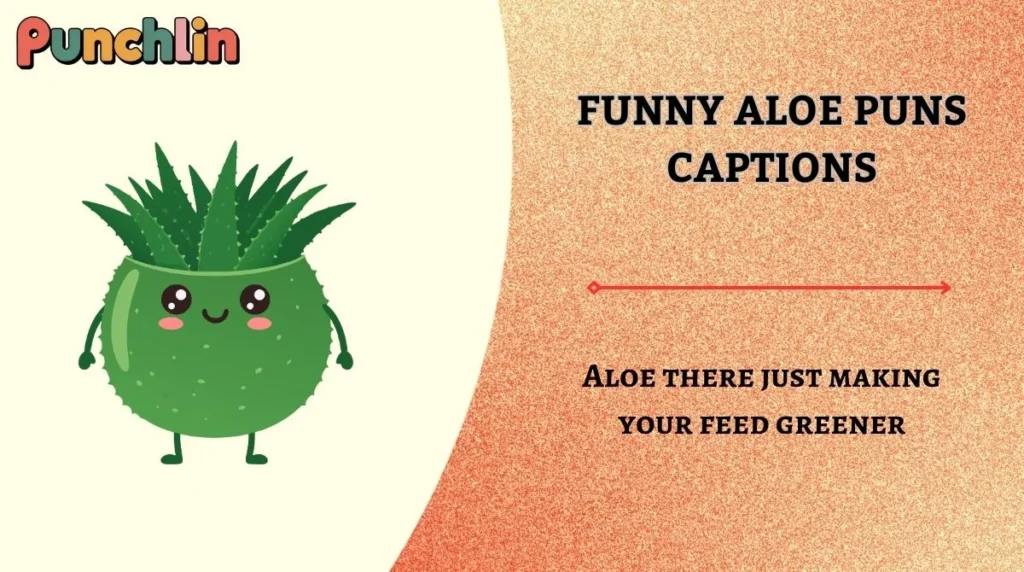 Funny Aloe Puns Captions