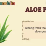 Aloe Puns