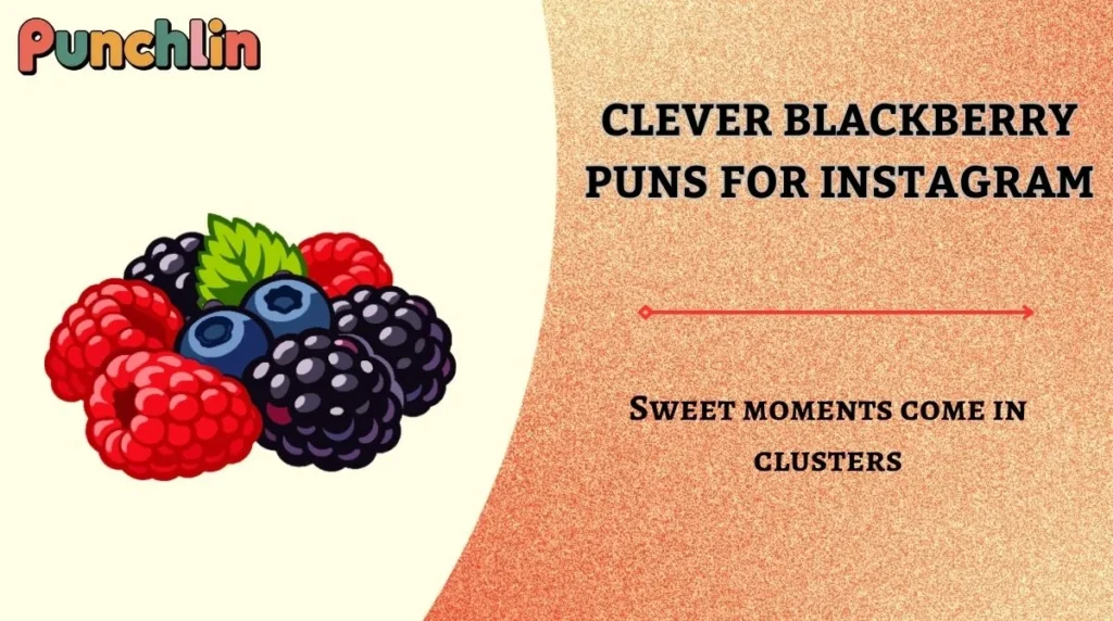 Clever Blackberry Puns for Instagram