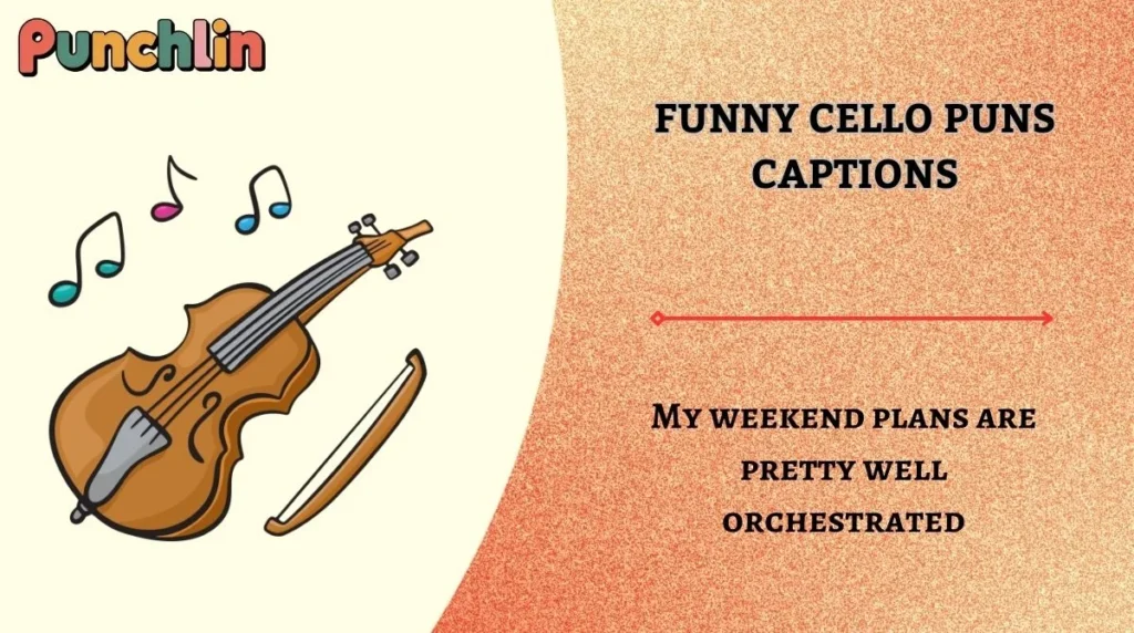 Funny Cello Puns Captions