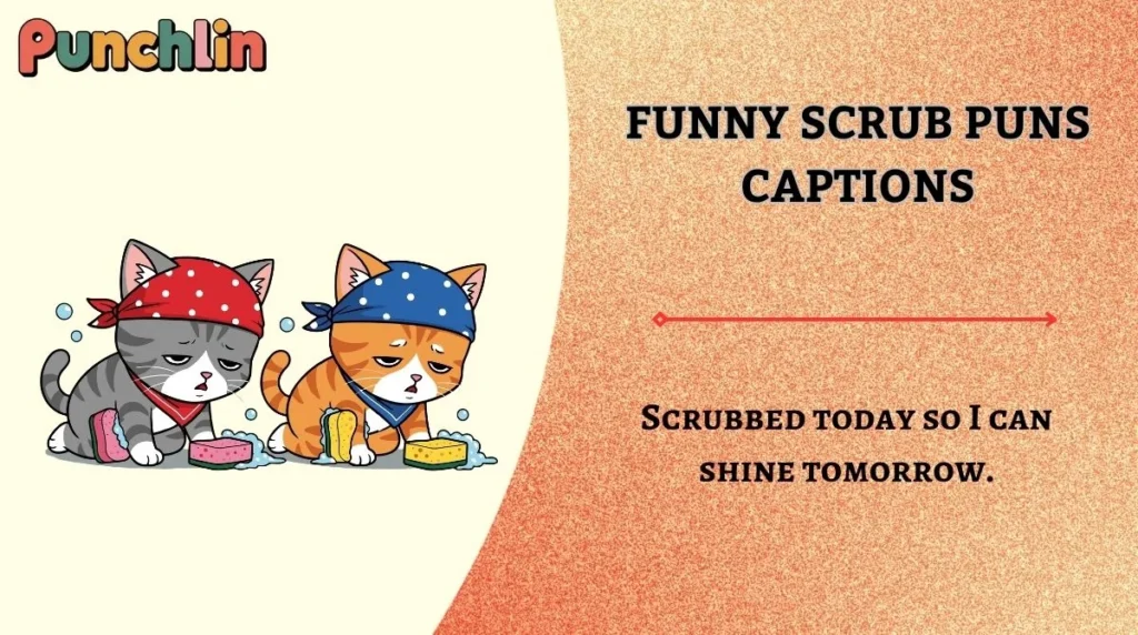 Funny Scrub Puns Captions