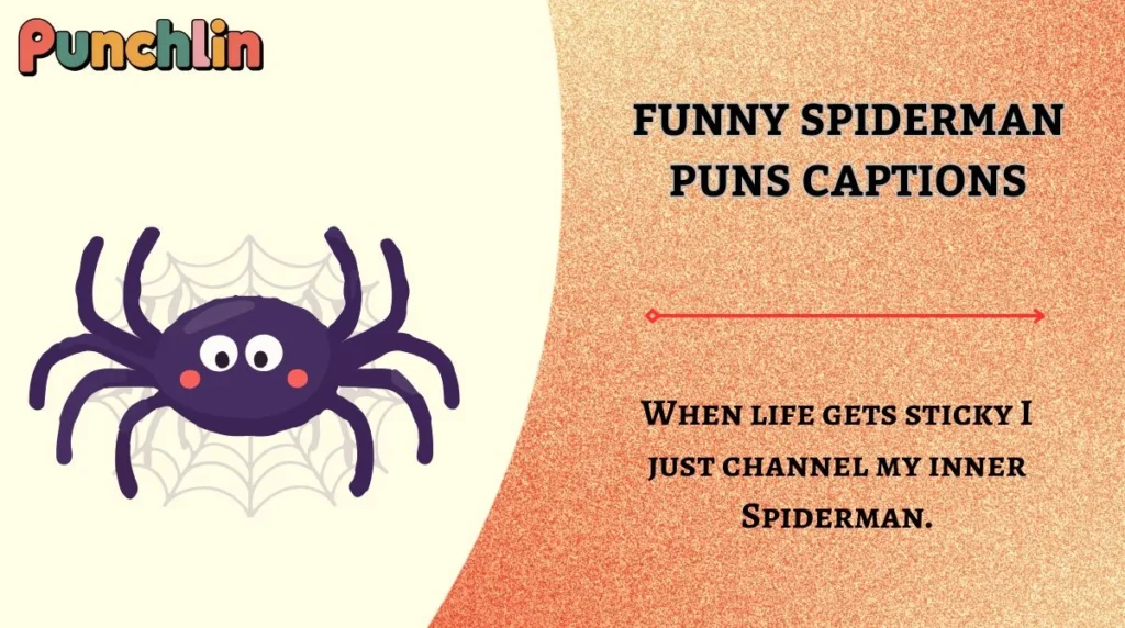 Funny Spiderman Puns Captions