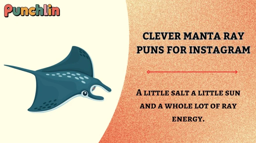 Clever Manta Ray Puns for Instagram