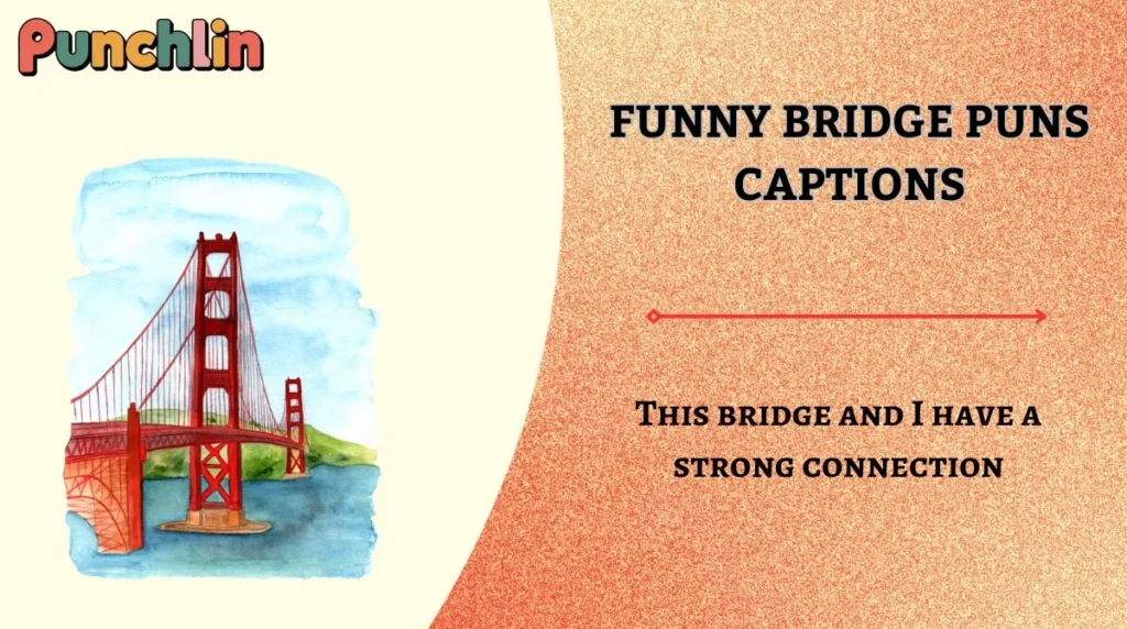 Funny Bridge Puns Captions