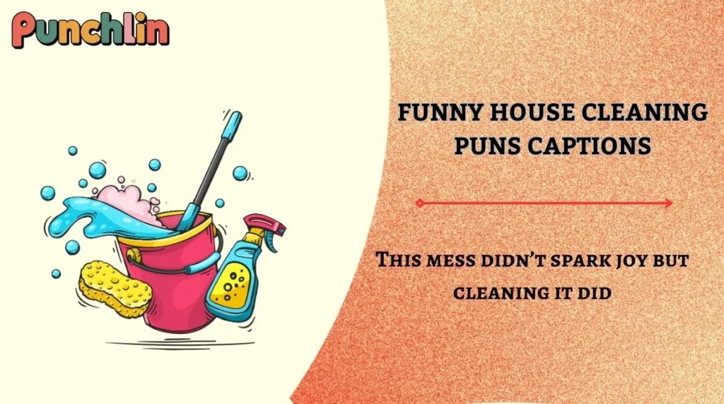 Funny House Cleaning Puns Captions