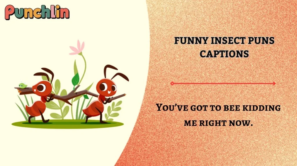 Funny Insect Puns Captions
