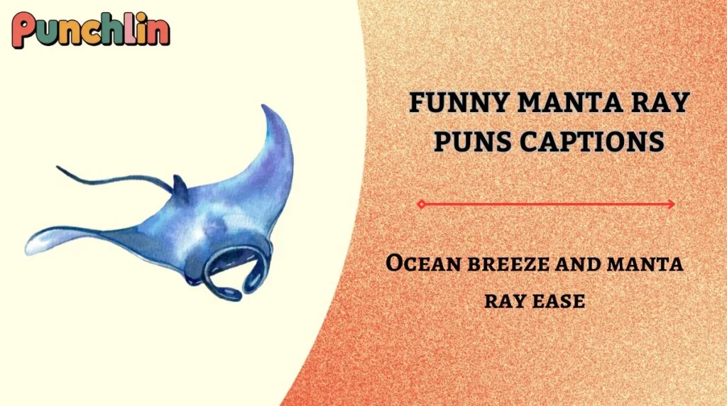 Funny Manta Ray Puns Captions
