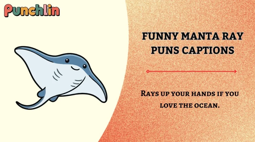Funny Manta Ray Puns Captions