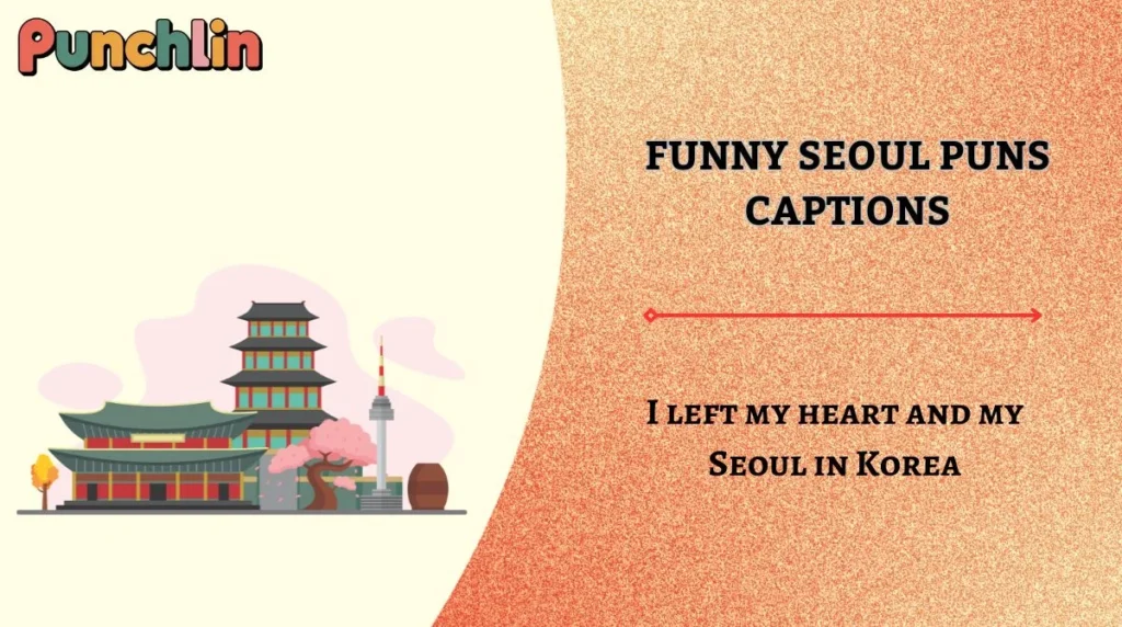 Funny Seoul Puns Captions