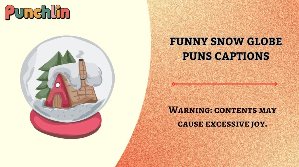 Funny Snow Globe Puns Captions