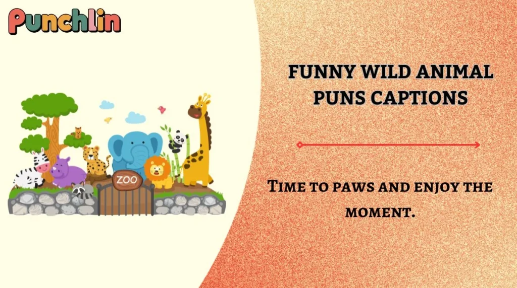 Funny Wild Animal Puns Captions